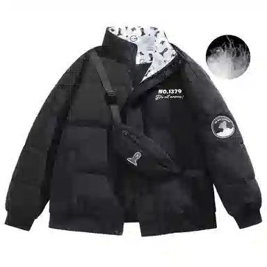 三体 红岸基地系列 含挎包字母徽章印花纯色基础款宽松美式户外防风防水休闲保暖加厚潮牌个性时尚面包服立领羽绒服 男女同款