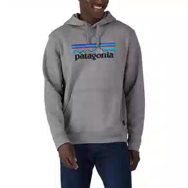 Patagonia Logo Hoodie