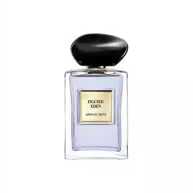 GIORGIO ARMANI EDT 100ml