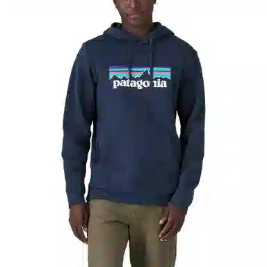 Patagonia Logo Hoodie