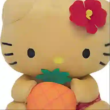 Sanrio Hello Kitty