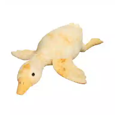 50cm90cm130cm160cm