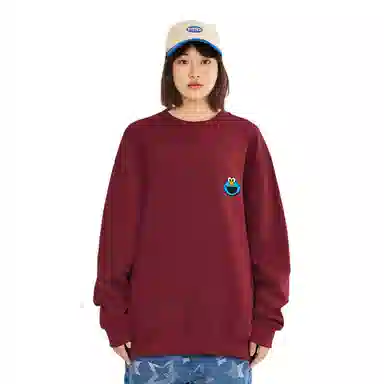 Sesame Street Sweatshirt