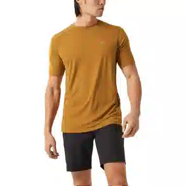 Arcteryx SS23 Ionia Merino Wool T