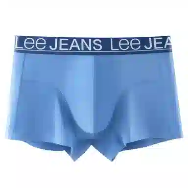 Lee 3