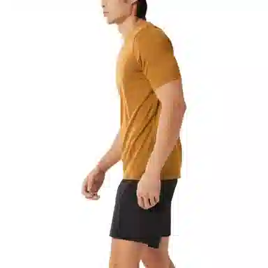 Arcteryx SS23 Ionia Merino Wool T