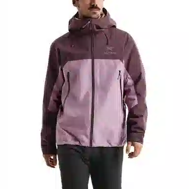 Arcteryx Beta AR StormHood Jacket