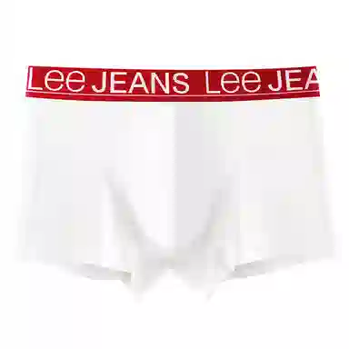 Lee 3