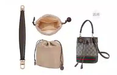 gucciOphidia