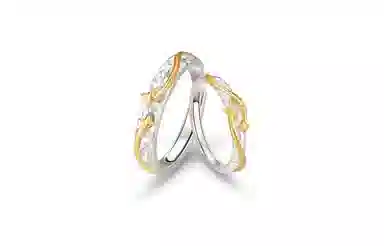 ROGA S925