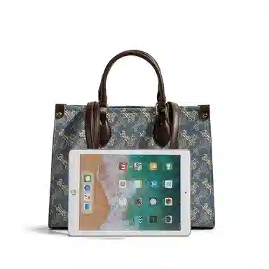 CentarlKatty Tote