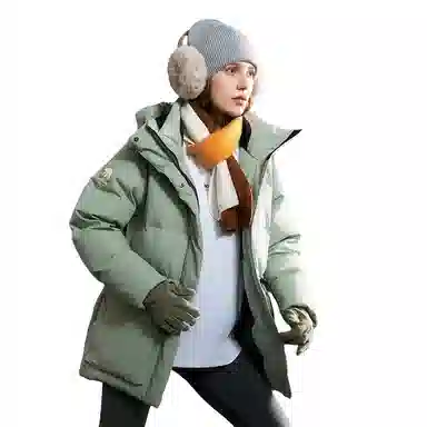 NORTHLAND PROFESSIONAL