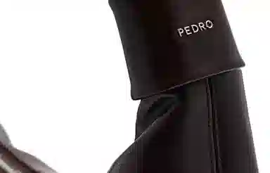 PEDRO Icon