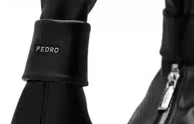 PEDRO Icon