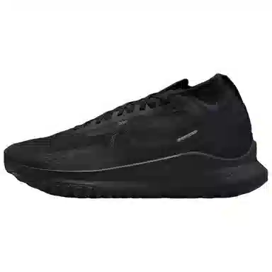 Nike Pegasus Trail 4 GTX V2