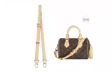 LOUIS VUITTON Speedy 20