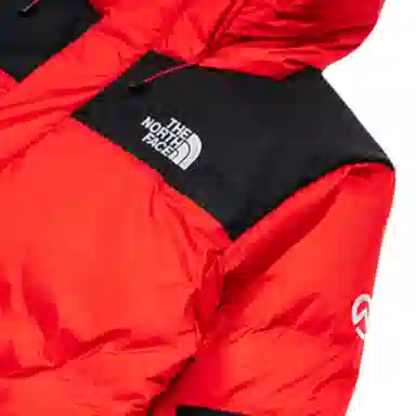THE NORTH FACE Logo