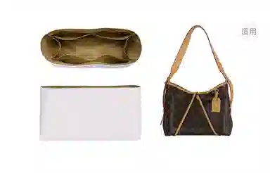 LV Carryall