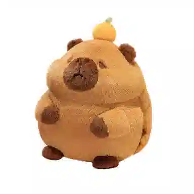 30cm100cm