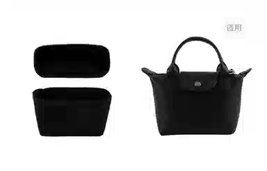 Longchamp Mini