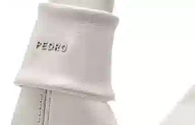 PEDRO Icon
