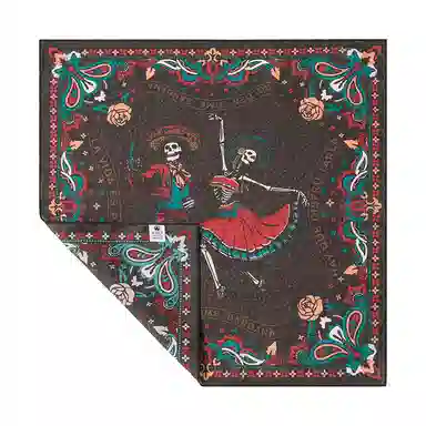 HipHop Paisley Bandana