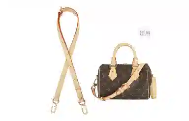 LOUIS VUITTON Speedy 20