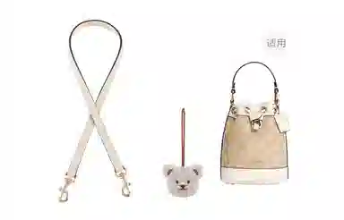 miniDempsey DIY COACH