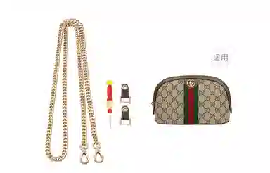 gucciOphidia