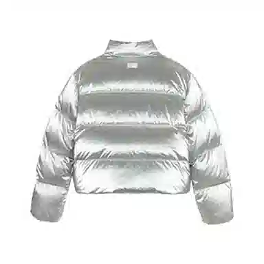 MLB New York Yankees Silver Jacket