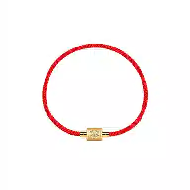 灰鱼 新中式国潮十二生肖原创设计素款小众属蛇年本命年红绳转运珠手工编织简约叠戴九紫离火手绳太岁年好运 合金 手链 男女同款情侣款