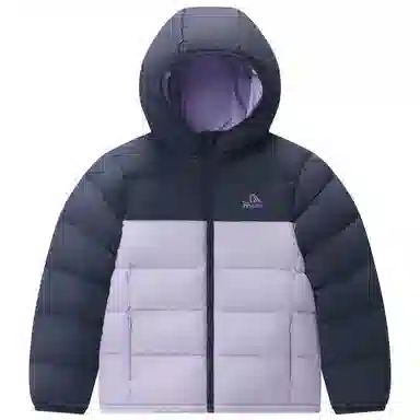 PELLIOT 650