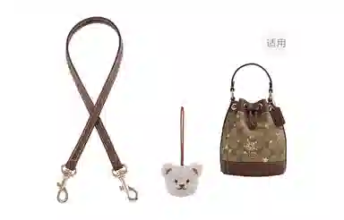 miniDempsey DIY COACH