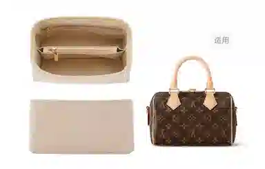 LOUIS VUITTON Speedy 20