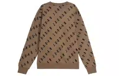 Jordan Logo Hoodie Brown