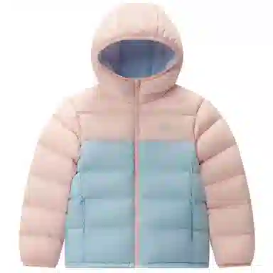 PELLIOT 650