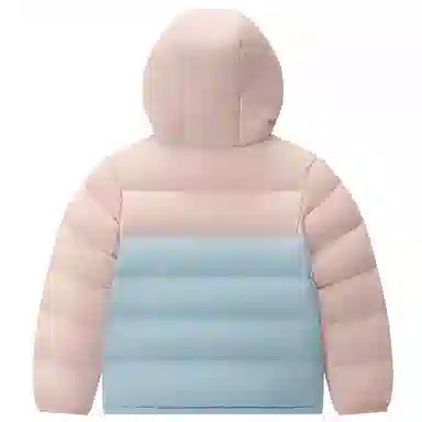 PELLIOT 650
