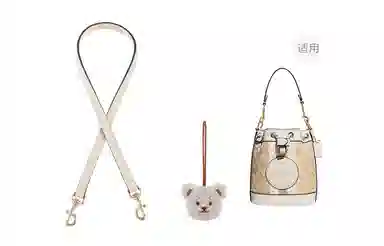 miniDempsey DIY COACH