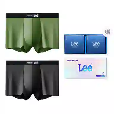 Lee 2