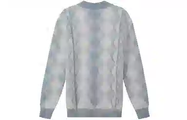DIOR FW22 V