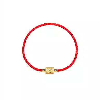 灰鱼 新中式国潮十二生肖原创设计素款小众属蛇年本命年红绳转运珠手工编织简约叠戴九紫离火手绳太岁年好运 合金 手链 男女同款情侣款