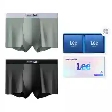 Lee 2