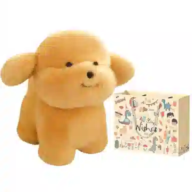 20cm30cm40cm