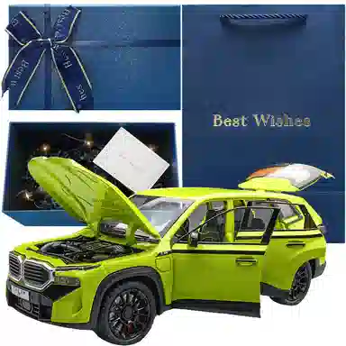 TY MODELS BWM XM 124