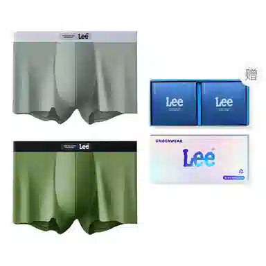 Lee 2