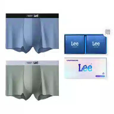 Lee 2