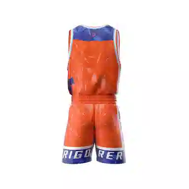RIGORER V