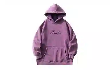 PAEFA Logo