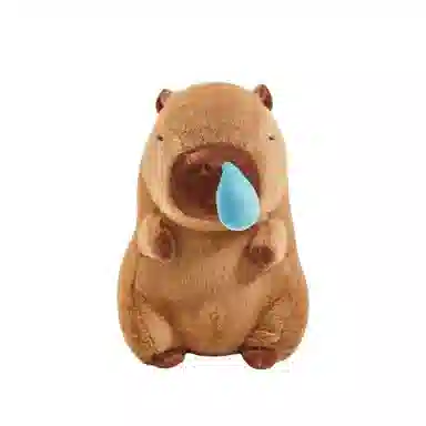 25cm35cm45cm70cm100cm