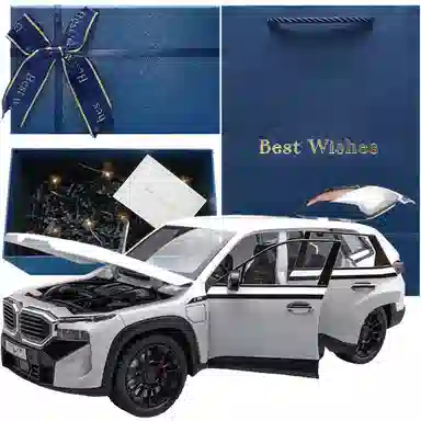 TY MODELS BWM XM 124